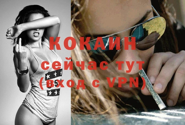 сатива Волоколамск