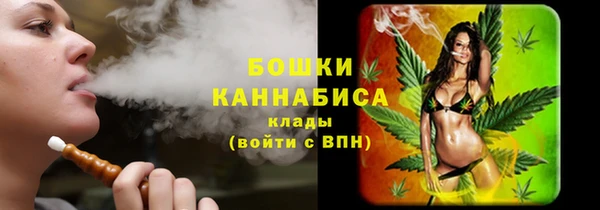 твердый Володарск
