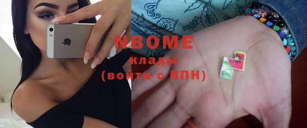 сатива Волоколамск