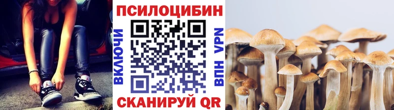 кракен ссылки  Любим  Псилоцибиновые грибы ЛСД 